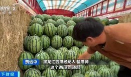 汕职院吃瓜,揭秘校园热点背后的真相