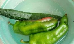 孕中期吃辣的又吃瓜,营养美味兼顾孕期健康