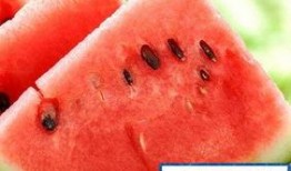 吃高瓜发胖吗,吃高瓜真的会发胖吗？