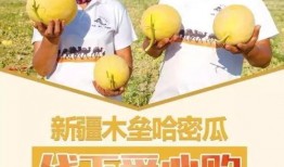 吃瓜群众有看法,揭秘网络舆论背后的真相与影响