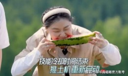 拼搏吃瓜,探寻奋斗与休闲的完美平衡