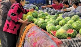 种花家吃瓜自由,畅享吃瓜自由，品味生活百态