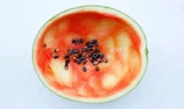 勺子吃瓜,揭秘网络热词背后的趣味与思考