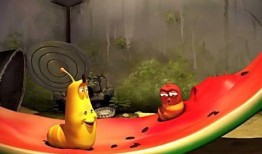 吃瓜虫子视频,一场奇妙的昆虫美食之旅