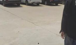 吃瓜鸭子的视频