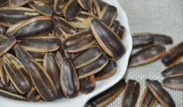 角瓜为什么不能总吃呢,为何角瓜不宜频繁食用