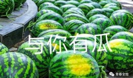 广西演艺学校吃瓜,揭秘校园里的“吃瓜”风云