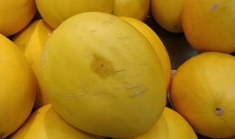 吃的黄瓤瓜,探寻美味与营养的完美融合