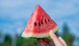 苏农新吃瓜,揭秘农业新风尚