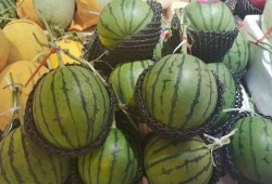 小纯吃瓜,揭秘娱乐圈那些不为人知的幕后故事