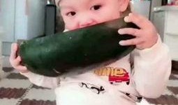 亲子蒙眼吃瓜视频下载,趣味互动乐趣多