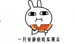 吃瓜嘛意思,吃瓜群众视角下的娱乐圈风云