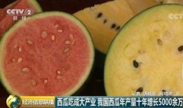 中国吃瓜群众真强大