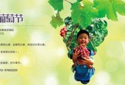 收稻谷吃瓜