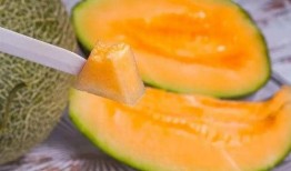 花式吃蜜瓜方式,创意花式吃法，解锁夏日清凉新体验