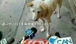 卧槽吃瓜视频下载,揭秘热门事件背后的真相