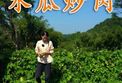 洗碗吃瓜洗碗布,日常生活中的趣味互动