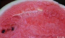 吃瓜甜到喉咙了,回味无穷的味蕾盛宴