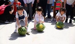 安西吃瓜,揭秘娱乐圈幕后风云