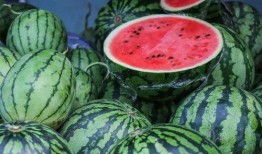 山东夏天吃瓜,瓜果飘香，清凉一夏的味蕾盛宴