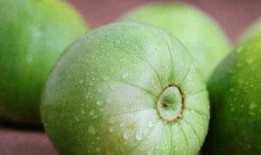 吃瓜甜到喉咙了,回味无穷的味蕾盛宴