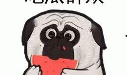 带你吃瓜极品诗句大全,极品诗句大盘点