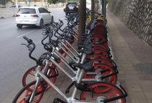 小红车吃瓜,揭秘网络热梗背后的趣味与思考