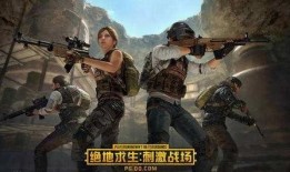 瓜哥吃鸡战场,一场热血沸腾的生存竞技之旅