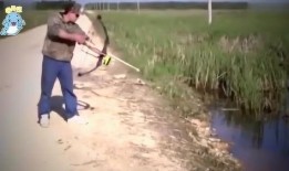 吃瓜老板钓鱼,闲适时光里的渔乐人生