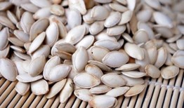 矮瓜胃炎可以吃吗,适宜与禁忌一览