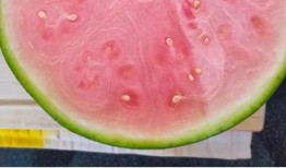 外国人吃瓜中国人吃瓜视频,视频揭示中西饮食差异