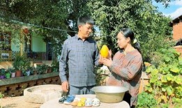 梦中在树上摘瓜吃,树上摘瓜的奇幻之旅