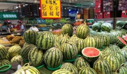 温州学子广场吃瓜,瓜香四溢，青春盛宴