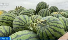 自由吃瓜基地真瓜