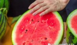 河北学院吃瓜,揭秘校园里的“瓜田”风云