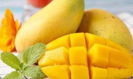 豹纹芒果带你吃瓜