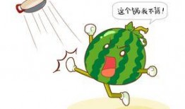 朋友反感吃瓜,共筑和谐友谊