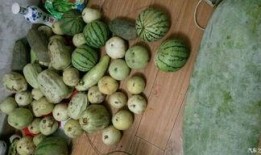 在娘家吃瓜,揭秘家庭温馨时光