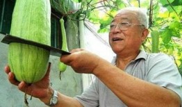 南瓜砍瓜怎么吃,创意烹饪指南