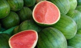 吃瓜的回答,一场全民参与的娱乐盛宴