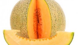 陆虎吃哈密瓜,陆虎畅享哈密瓜美味时光