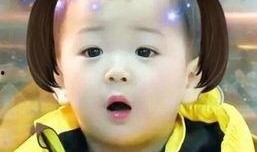 加菲吃瓜表情,萌态百出，笑料连连