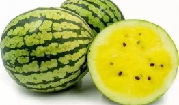 瓜瓜吃瓜的视频