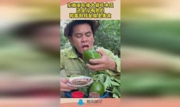 吃瓜韩国大叔,揭秘娱乐圈幕后故事