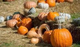 吃很多瓜的你,揭秘娱乐圈那些事儿