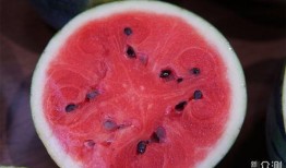 吃瓜最快方法,一招教你成为吃瓜高手