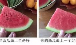 吃瓜高中,吃瓜高中那些事儿