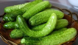 车晓贝吃瓜,揭秘娱乐圈幕后真相