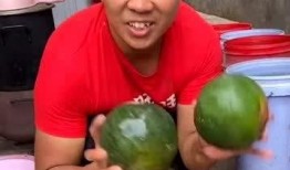 西子吃瓜,揭秘娱乐圈的甜蜜瓜田