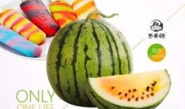 带你吃瓜黄蓝骑士,带你领略瓜界风云